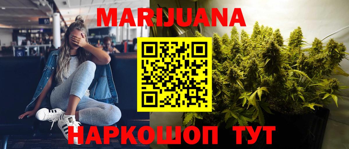 Марихуана сатива Шали